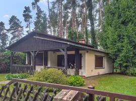 Pet Friendly Home In Boruja