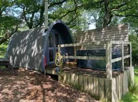 Willow Cabin & Hot Tub
