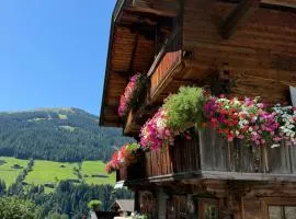 Fürstenhäusl Alpbach - GREEN Apartments & Studio