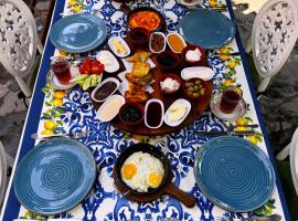 Qafqaz Fountain House, Hotel in Qəbələ