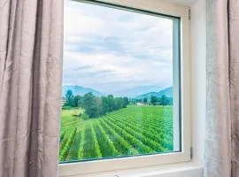 Casa Vacanza Dany in Franciacorta Vista Vigneti