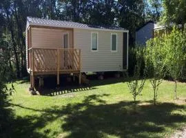 Mobil home avec Terrasse - 4 pers, 2 chambres - API-1-52-246