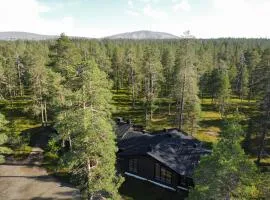 Arctic Verge Ylläs