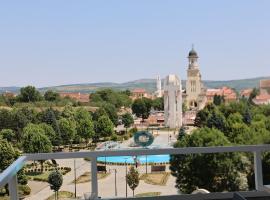 Karlsburg Suite, acomoda&ccedil;&atilde;o com cozinha em Alba Iulia