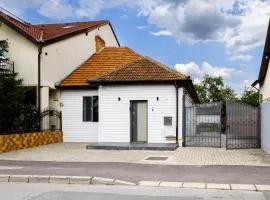 Nordic Villa Brasov - With Private Yard, BBQ & Free Parking, 4 km from City Center