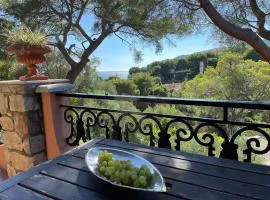 Appartamento in Villa a Pinamare