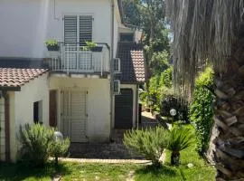 Clorofilla - Country House