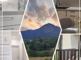 Apartament Rodopi