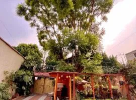 Casita del Árbol