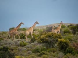 Elandspoort Private Game Reserve, chal&eacute; em Uniondale