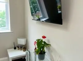 Stylish 1-Bed Flat