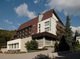 Hotel Clermont, spa hotel in Covasna