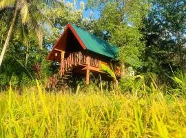 The Rock & Paddy Resort
