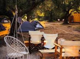 Camping Qeparo