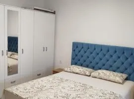 Guest house Danica