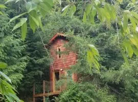 Large Estate Venue 2 hot tubs 2 treehouses