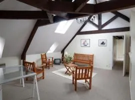 Cozy flat in the heart of Vannes