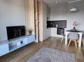 Urban Jungle Apartament Carl