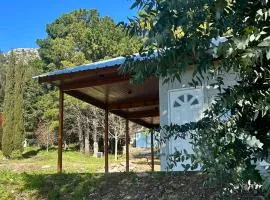 BOX 53 - Cabaña Boutique con vista a la Sierra