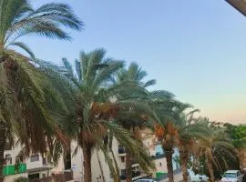 נופש חלומי בכנרת