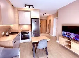 LOFT APARTAMENT II Kępno