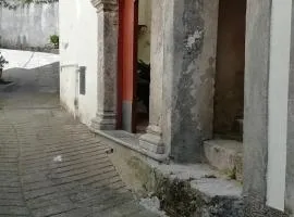 Za Rosa