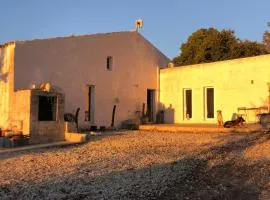Aguglia Persa