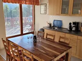 PENSION KUBU Apartment 3 samostatný byt s kuchyní