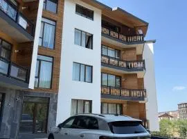 Didveli Residence Apartment