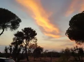 Ninfeo - Villetta Vista Mare tra Ulivi nel Salento