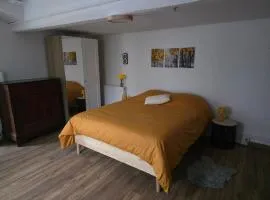 Gîte pour 15 au calme à Floirac