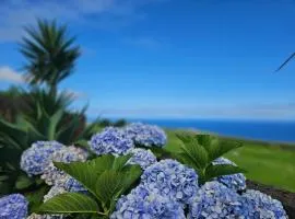 Ocean View - Nordeste