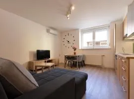 Apartma Seničica