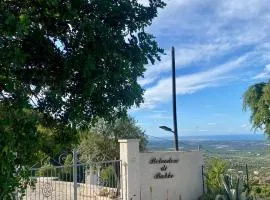 Il Belvedere di Babbo