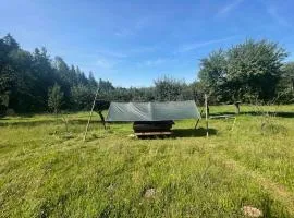 Wiesenbett unterm Nachthimmel