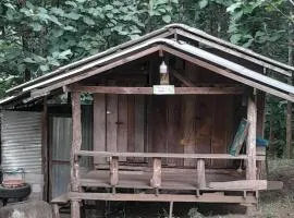 Watchara organic farm