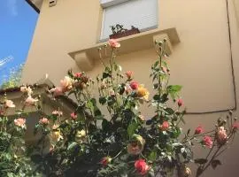 Casa do Bairro