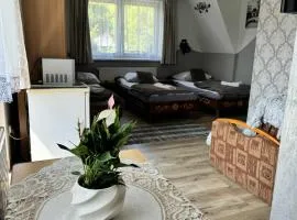 Pokoje i Apartamenty Regionalny Styl ul Króle 1a Zakopane