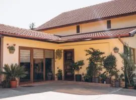 Hills Villa