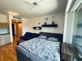 Vitan Apartment