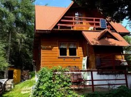 Domek pod Modrzewiem