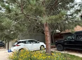 Foothills of the Rockies