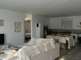 Maison avec jardin en Provence