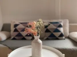 Appartement F3 & Solferino