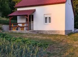 Village House