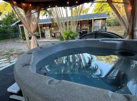 Pet Friendly Near Anna Maria And Img