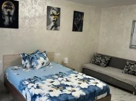 Apartament IRI Băile Herculane