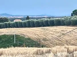 Angolo,di Chianti