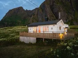 Eagle Point Lofoten