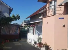 Casa Scurtu 2025